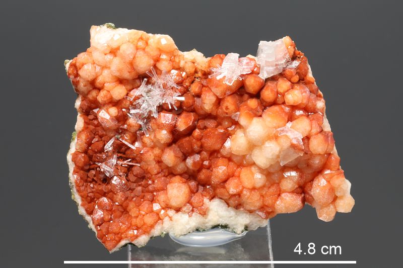 Analcime (NS/Cape Blomidon)